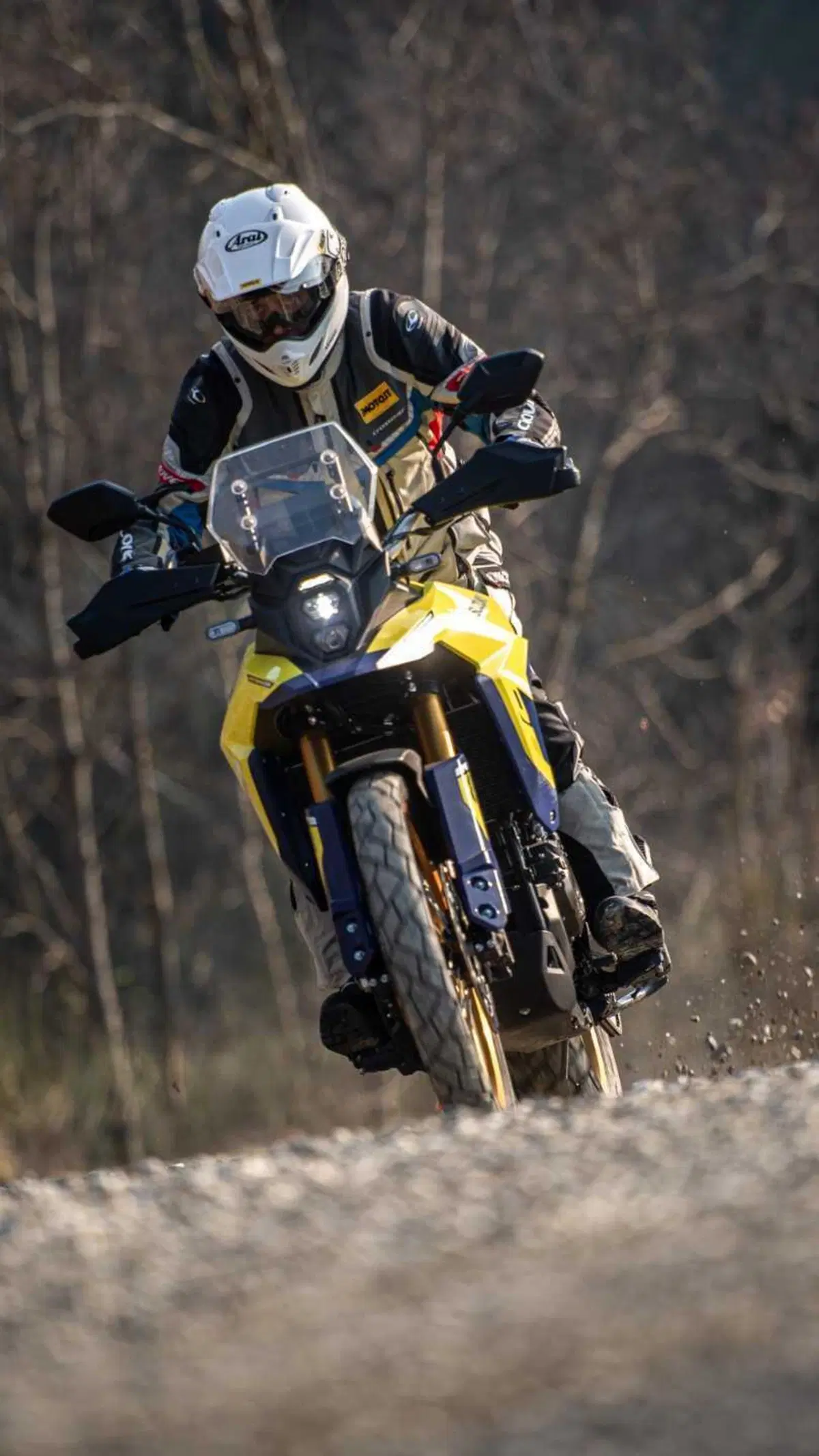 Suzuki V-Strom 800 (26)