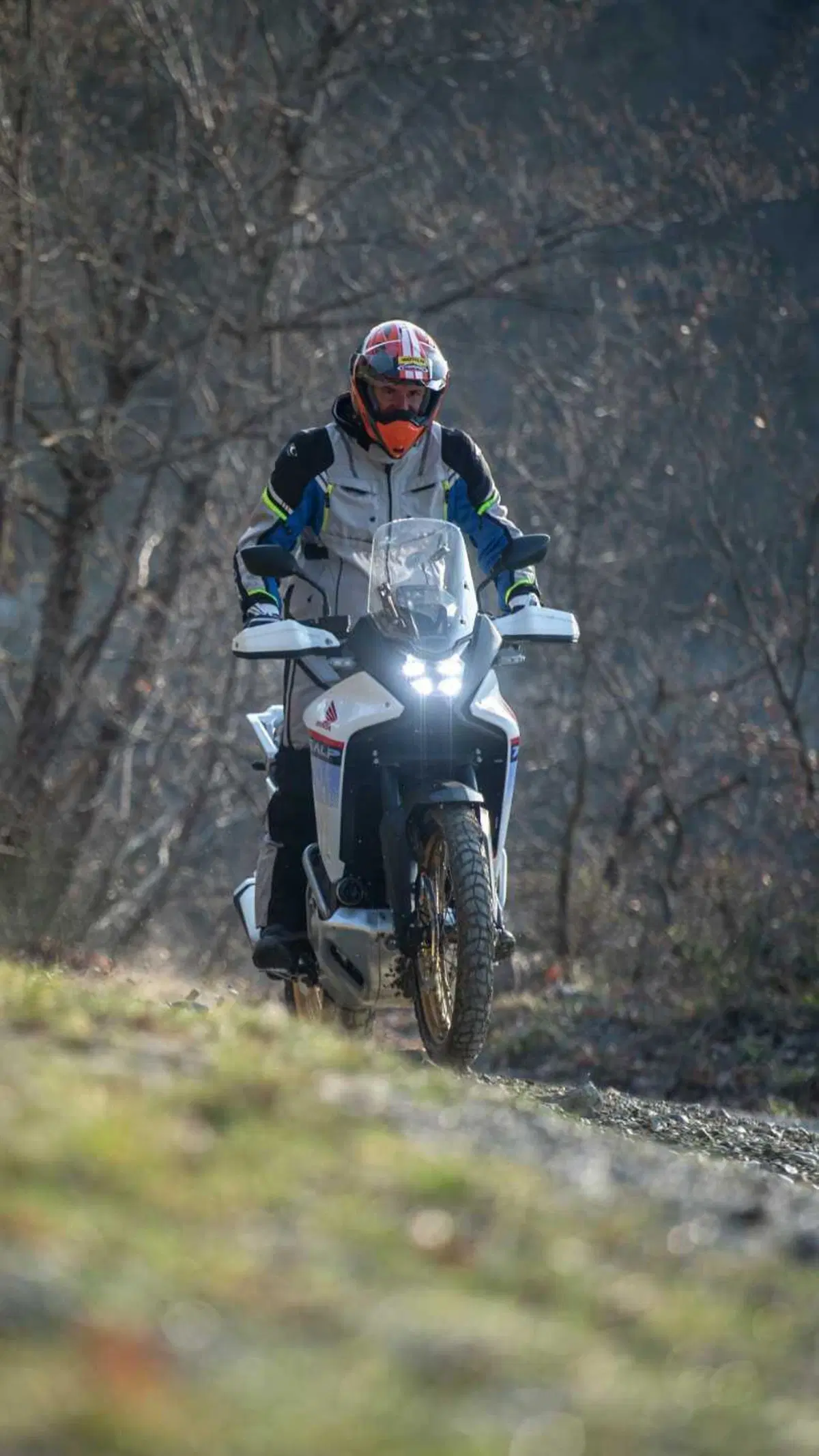 Honda Transalp (29)