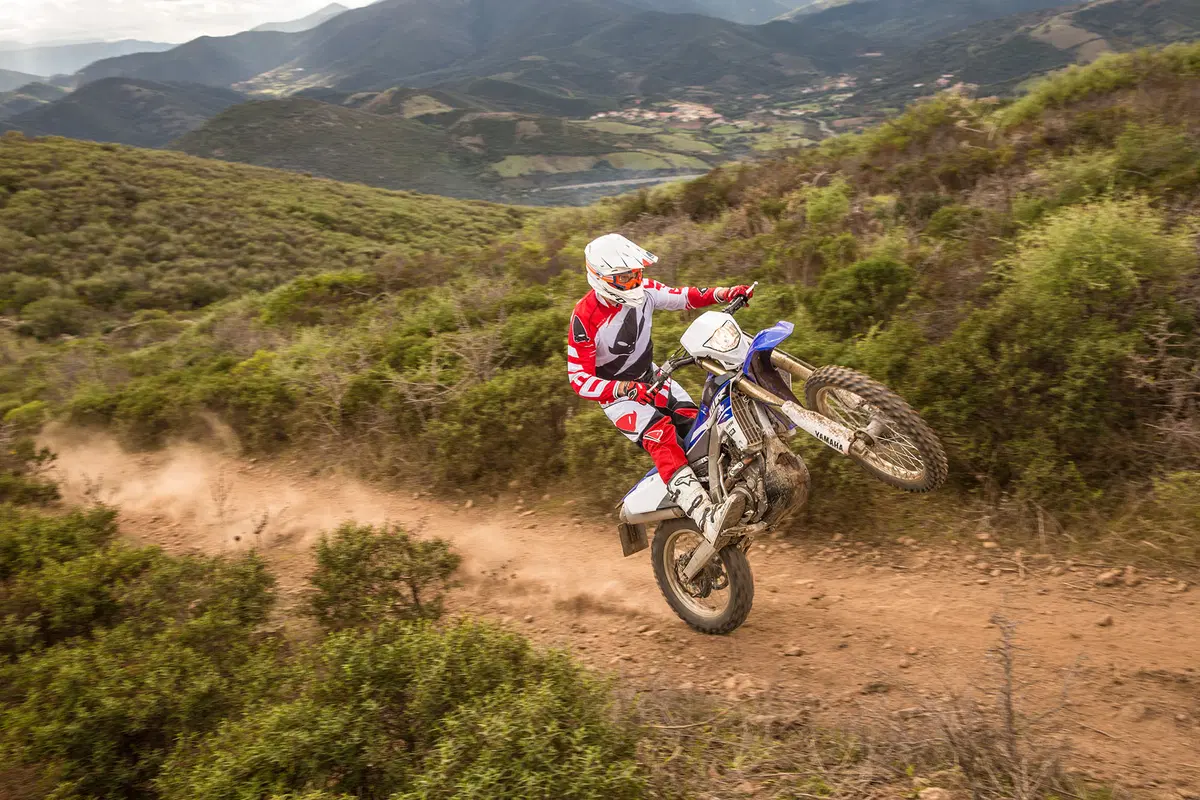 Yamaha WR 250 F WR 250 F (2015) (15)