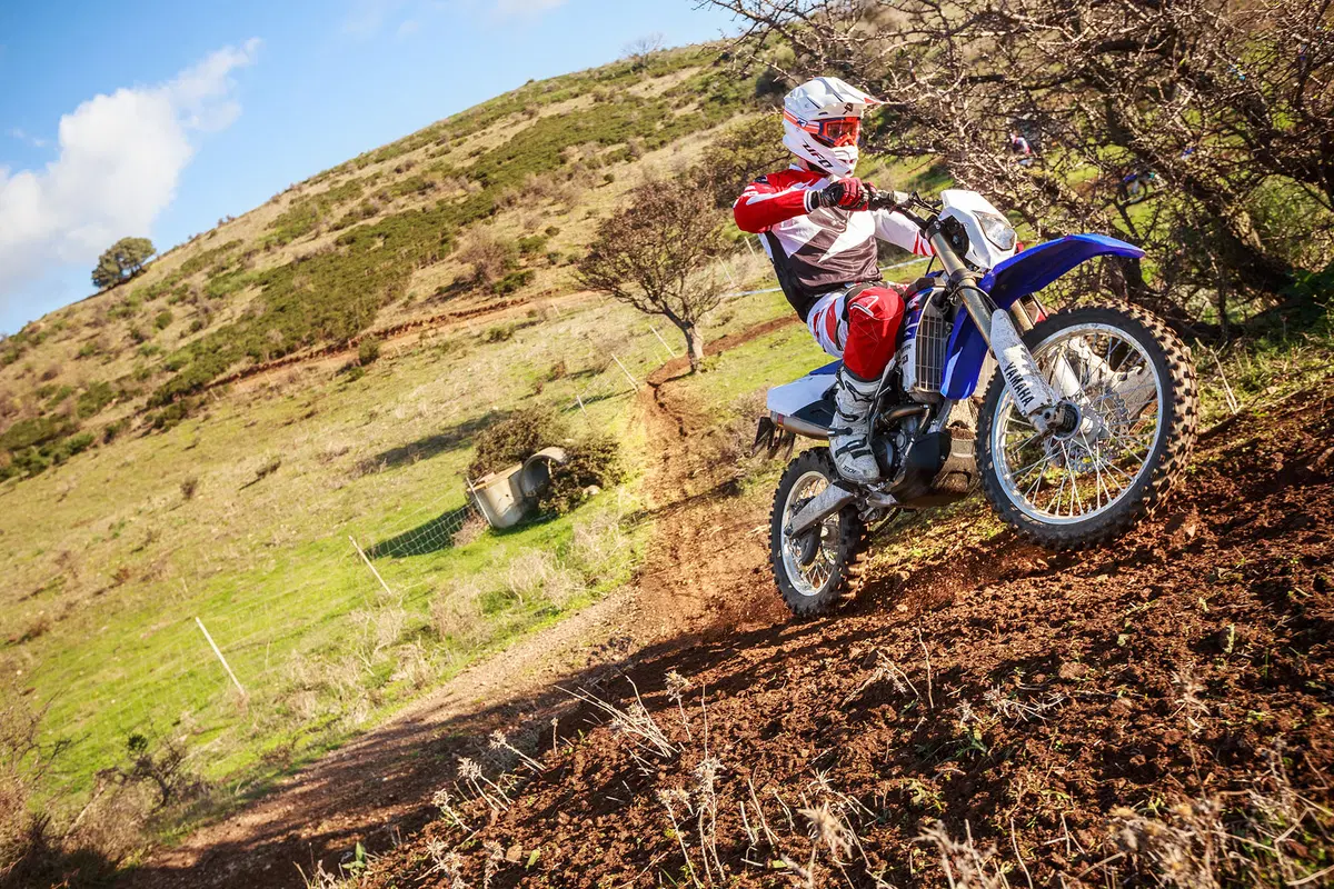 Yamaha WR 250 F WR 250 F (2015) (18)