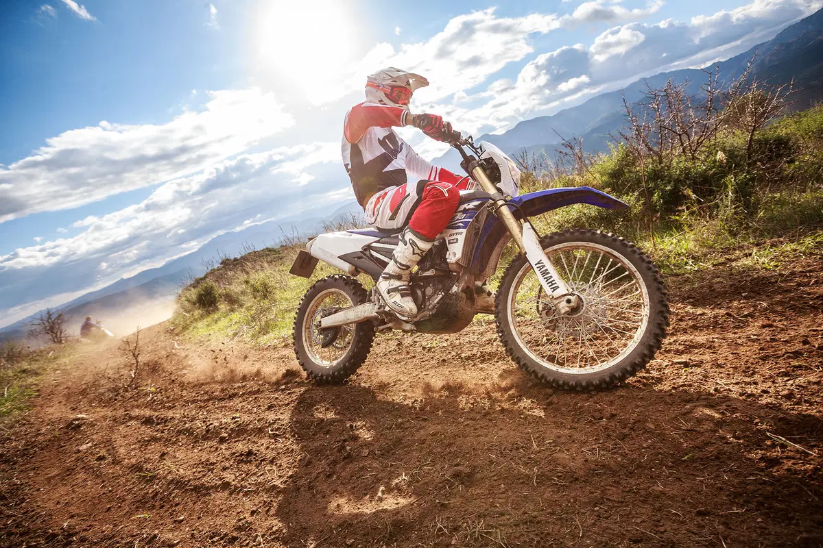 Yamaha WR 250 F WR 250 F (2015) (21)