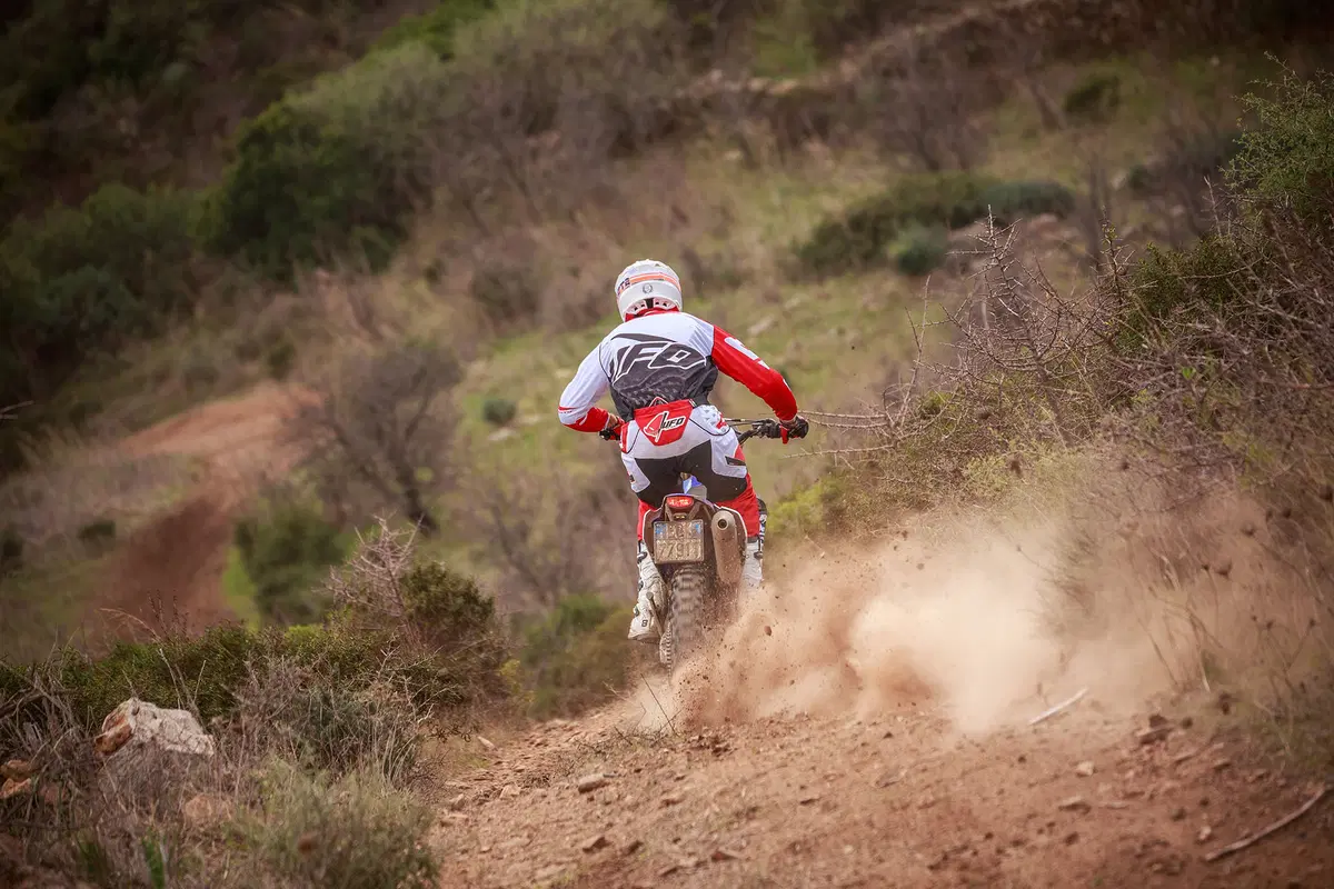 Yamaha WR 250 F WR 250 F (2015) (28)