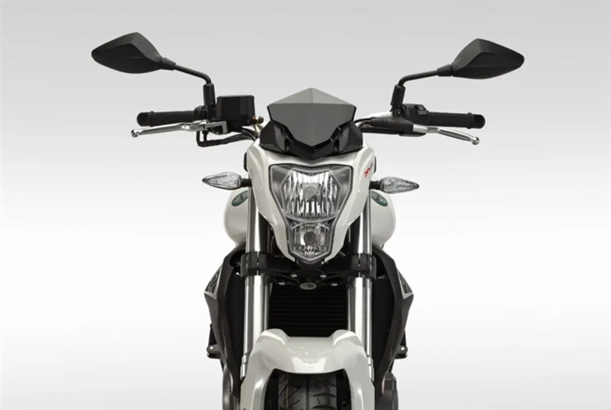 Benelli BN 302 BN 302 (2014 - 16) (5)