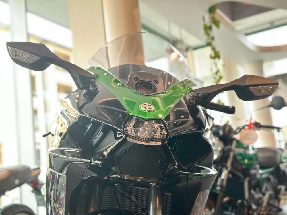 Kawasaki Ninja 1000 H2 SX SE (2023 - 24) (3)