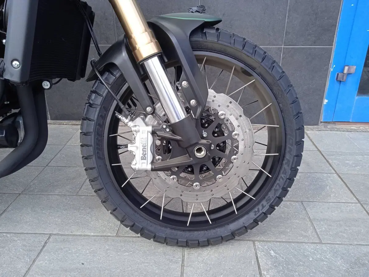 Benelli Leoncino 800 Trail (2022 - 26) (8)
