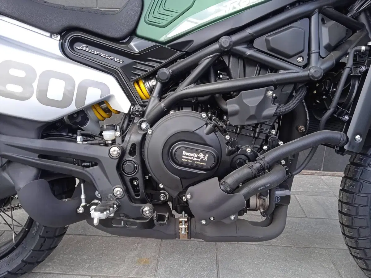 Benelli Leoncino 800 Trail (2022 - 26) (9)