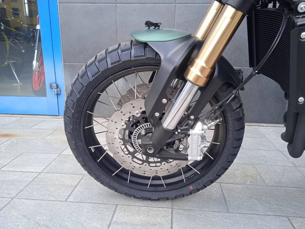 Benelli Leoncino 800 Trail (2022 - 26) (12)