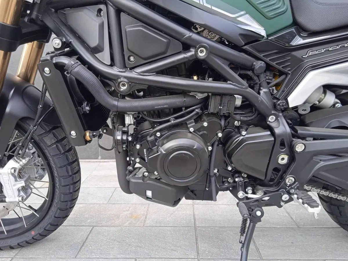 Benelli Leoncino 800 Trail (2022 - 26) (13)