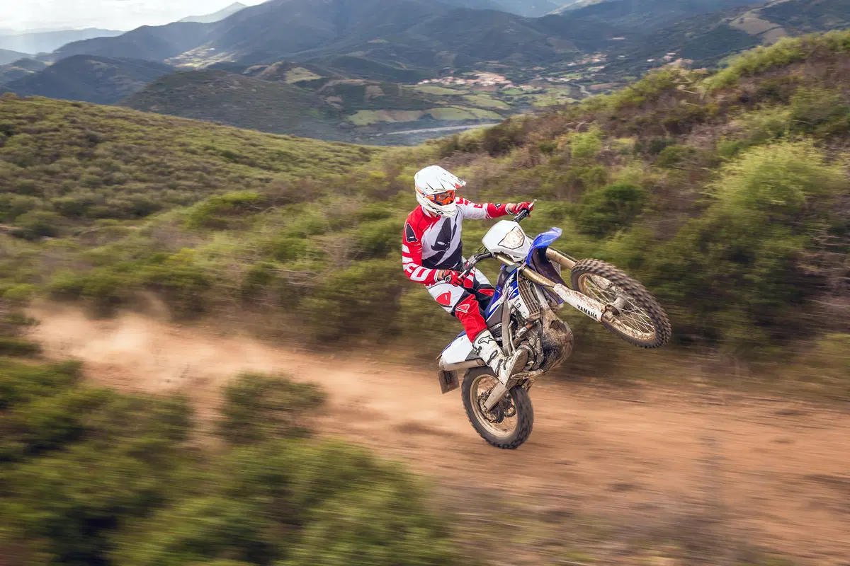 Yamaha WR 250 F (5)