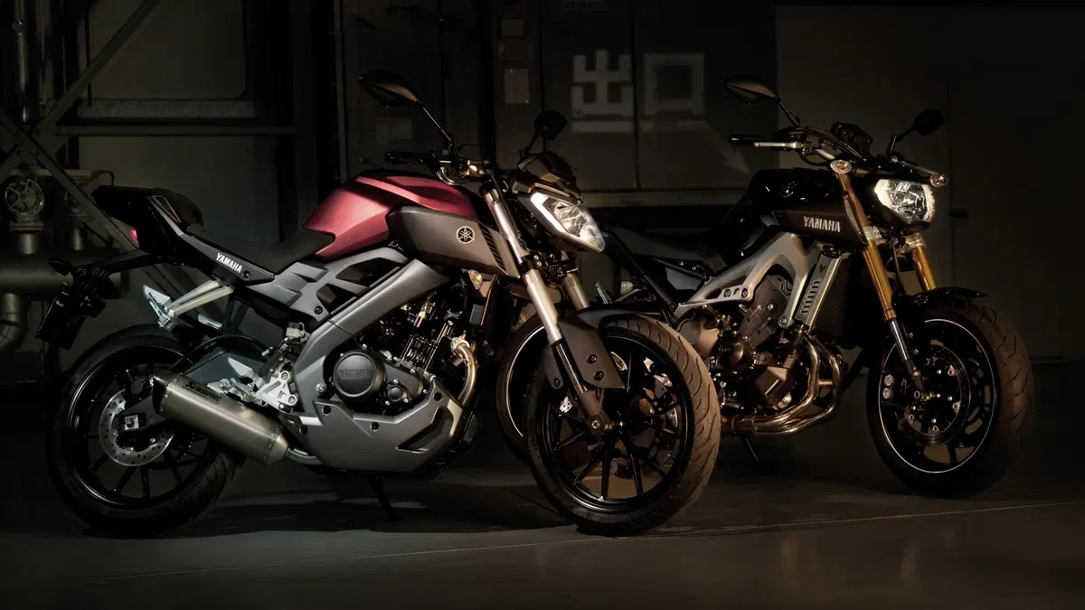 Yamaha MT-125 MT-125 ABS (2015 - 16) (12)