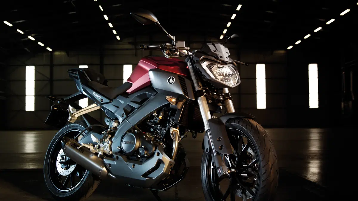 Yamaha MT-125 MT-125 ABS (2015 - 16) (13)