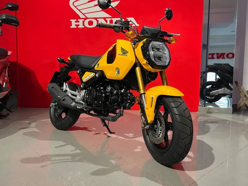 Honda MSX 125 Grom (2021 - 26) (5)