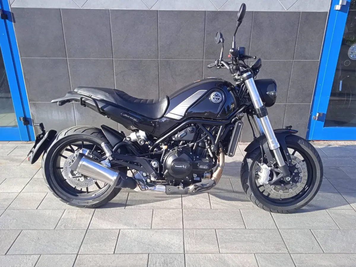 Benelli Leoncino 500 (2021 - 25)