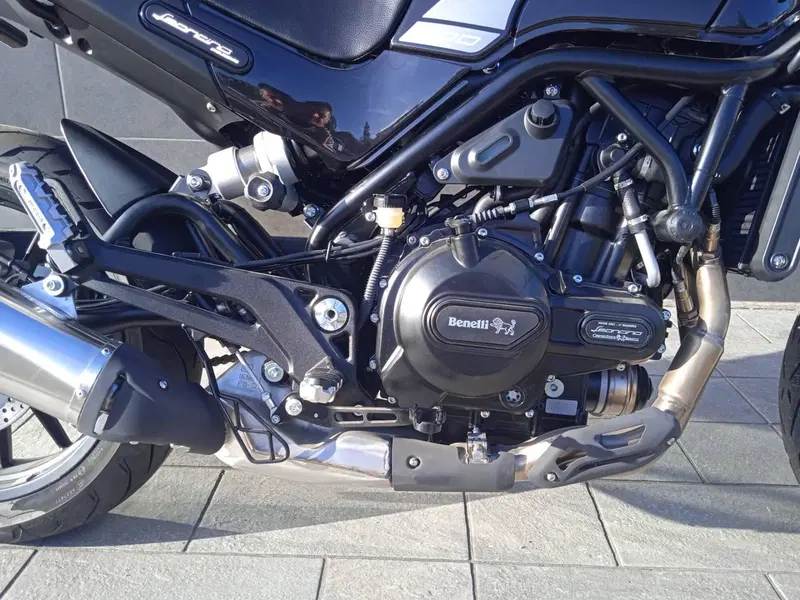 Benelli Leoncino 500 (2021 - 25) (7)