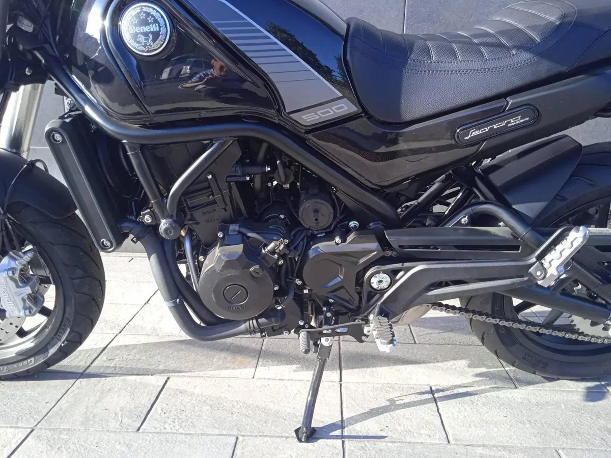 Benelli Leoncino 500 (2021 - 25) (12)