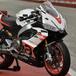 Aprilia RS 660 Extrema...mente divertente [VIDEO]