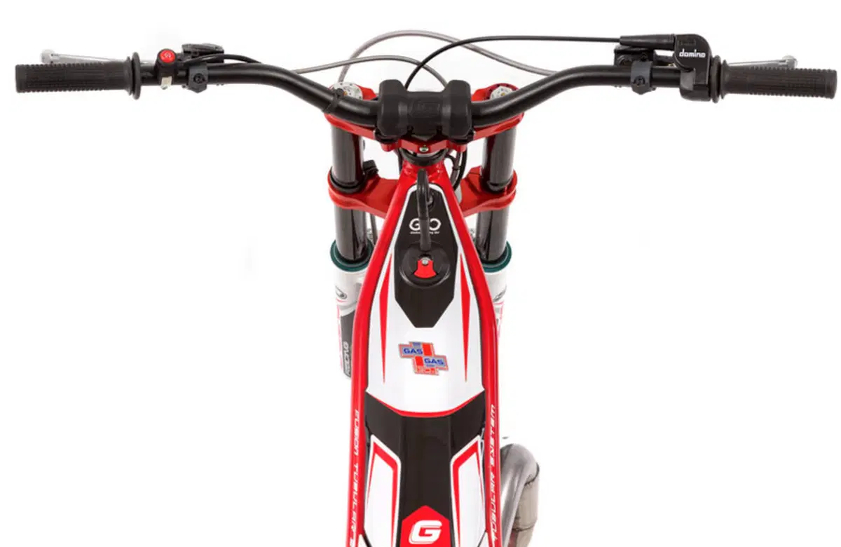GASGAS TXT 250 TXT 250 PRO Racing (2015) (4)
