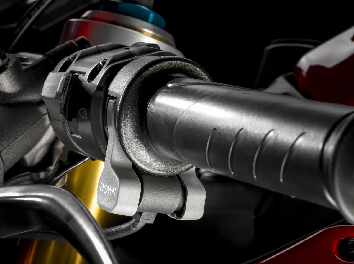Ducati Panigale 1299S (3)