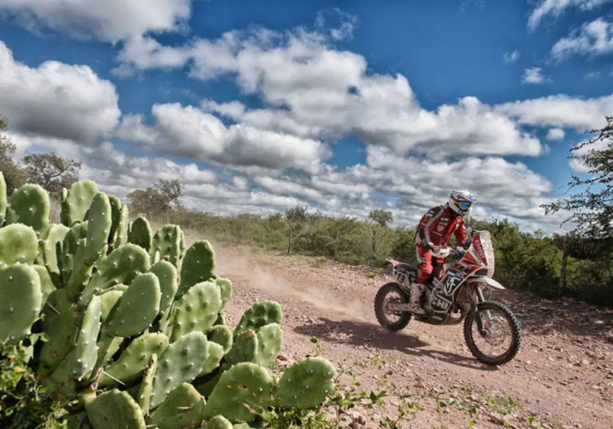Dakar 2015, Italiani: Diocleziano Toia (5)