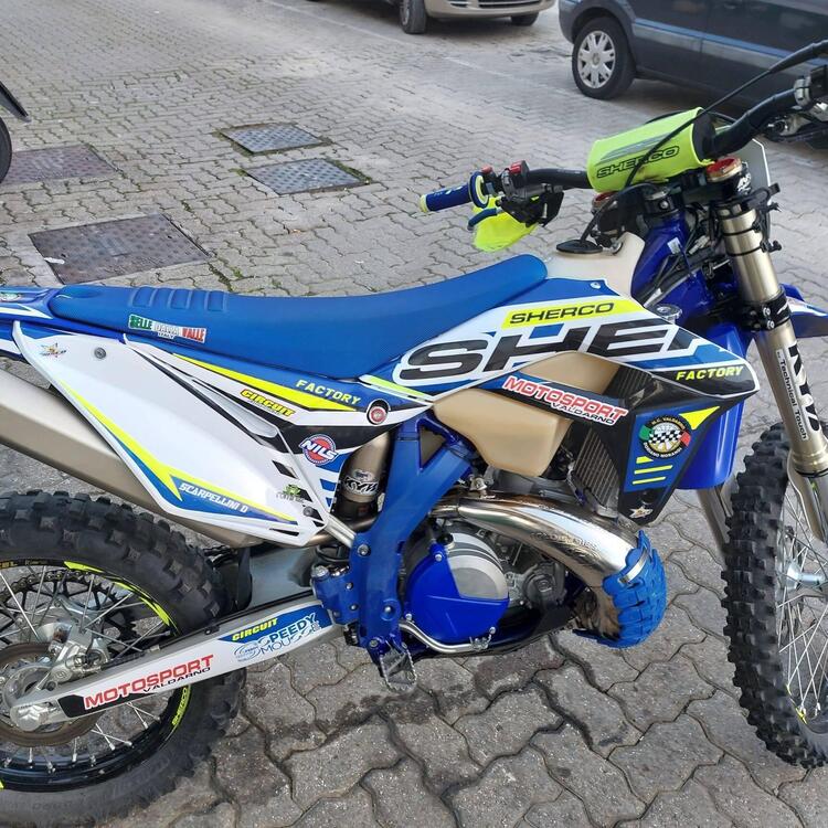 Sherco 250 SE-R Racing (2019) (2)