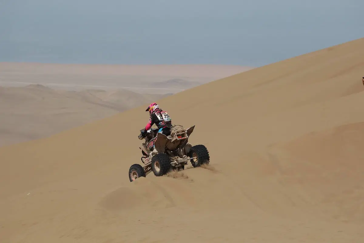 Dakar 2015. Italiani. Camelia Liparoti (5)