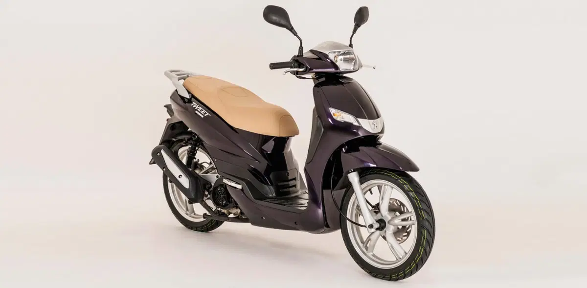 Peugeot Tweet 150 Tweet 150 Evo (2014 - 15) (4)
