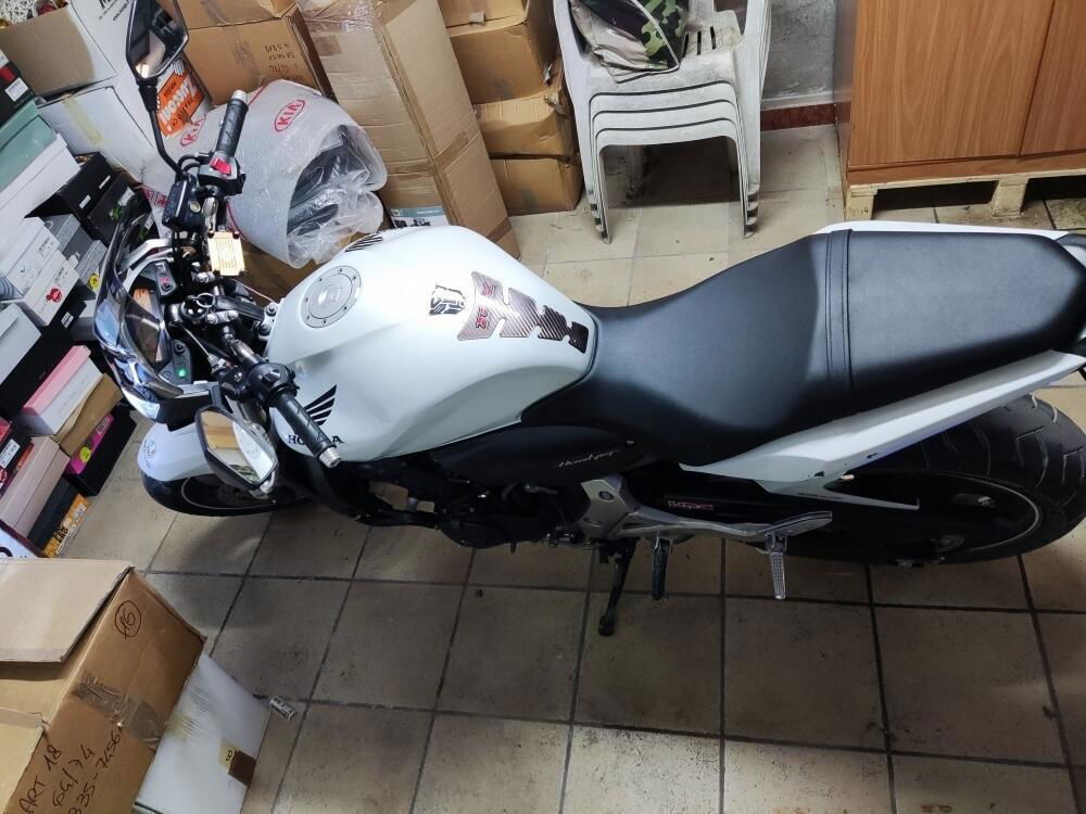 Honda Hornet 600 (2011 - 13) (2)