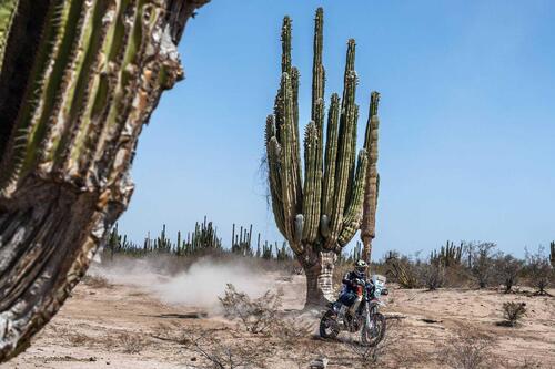 Rally-Raid. Sonora Rally 2023. Il Mondiale Vola in Messico (7)