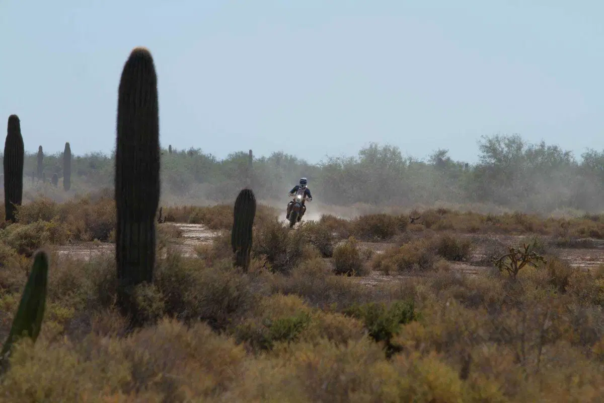Rally-Raid. Sonora Rally 2023. Il Mondiale Vola in Messico (17)