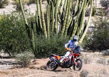 Rally-Raid. Sonora Rally 2023. Il Mondiale Vola in Messico