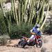 Rally-Raid. Sonora Rally 2023. Il Mondiale Vola in Messico