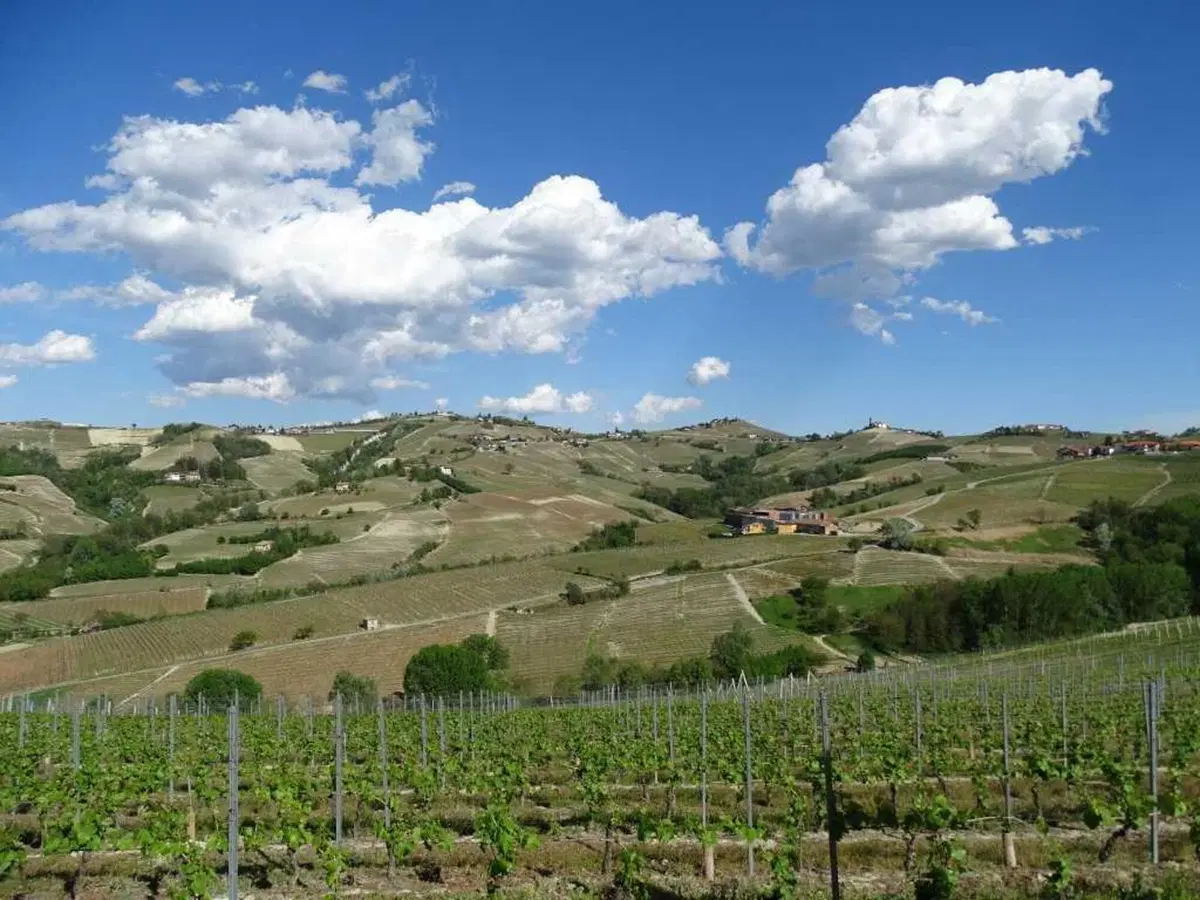 I viaggi dei lettori: Artisti in Langa (8)