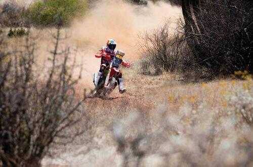 Rally-Raid. Sonora Rally D2. Sanders, GasGas, e Loeb, Prodrive, al Comando (5)