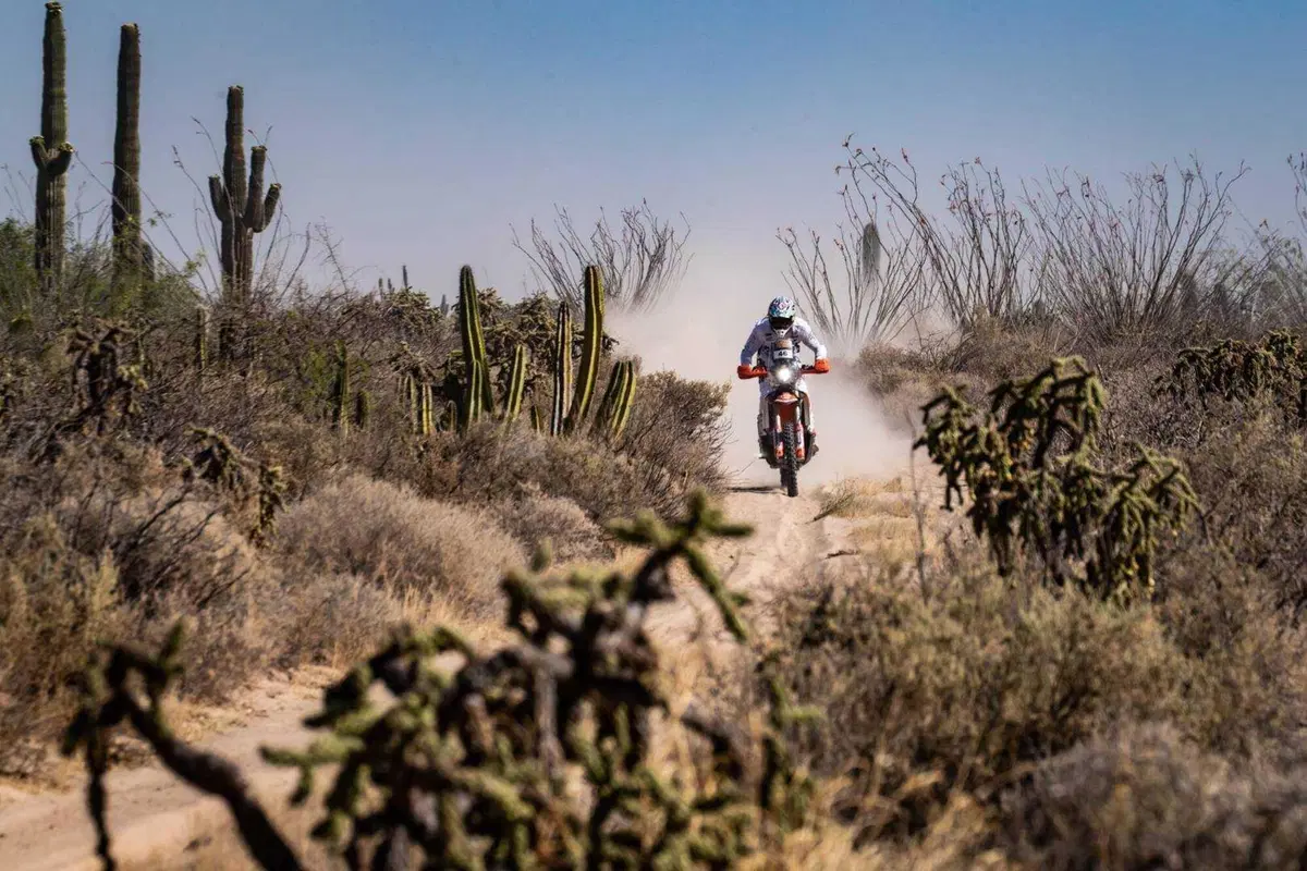 Rally-Raid. Sonora Rally D2. Sanders, GasGas, e Loeb, Prodrive, al Comando (15)