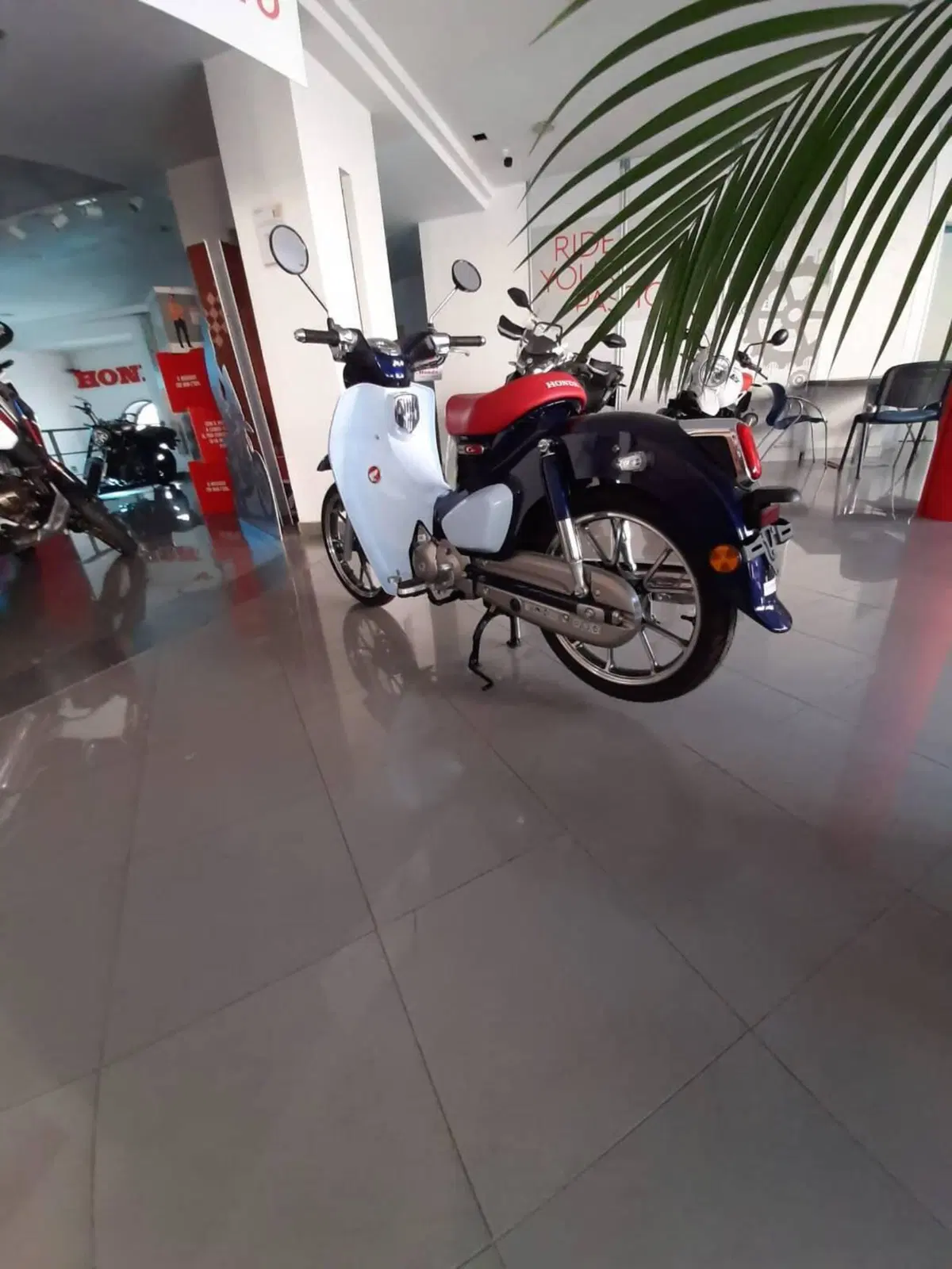 Honda Super Cub C125 (2018 - 20) (4)
