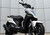 Kymco Agility 50 RS naked (2010 - 20) (15)