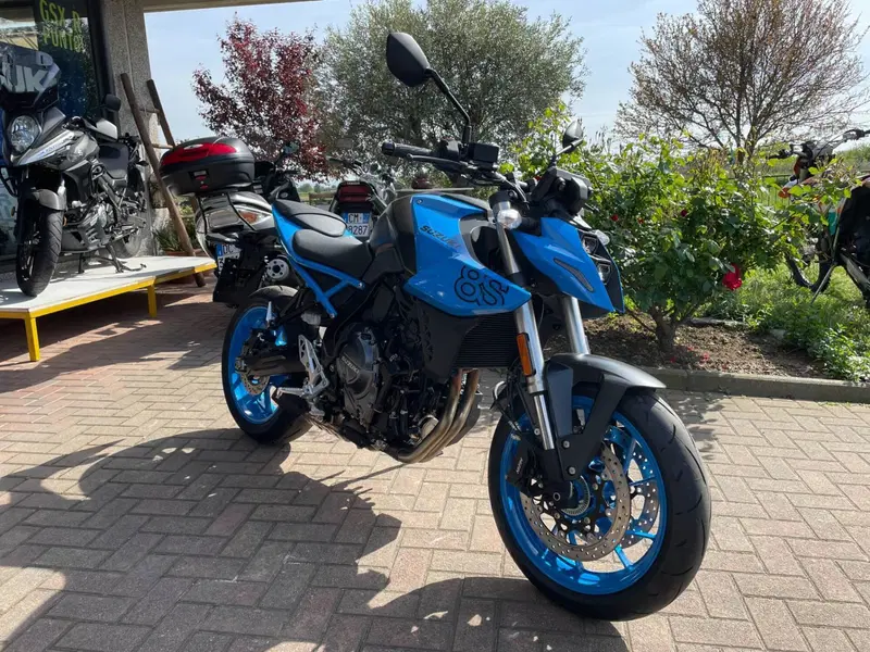 Suzuki GSX-8S (2023 - 24) (2)