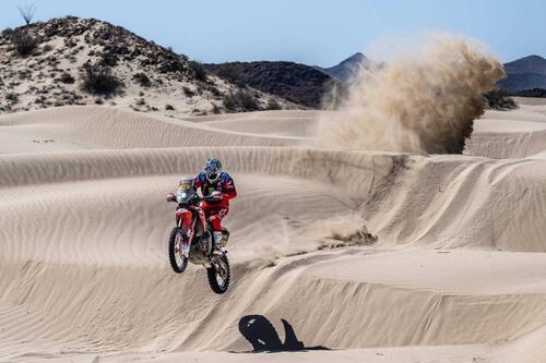 Rally-Raid. Sonora Rally D4. Sanders e Al Attiyah, Controllo Perfetto (6)