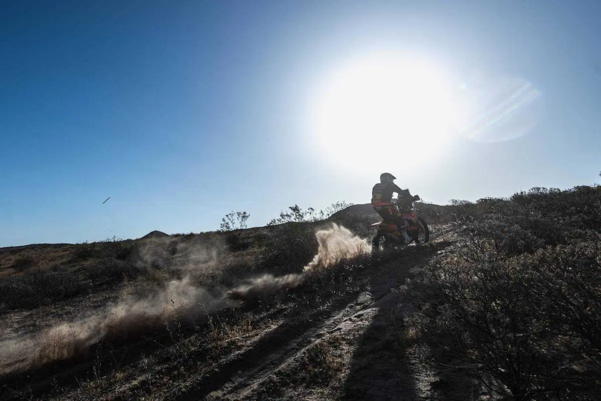 Rally-Raid. Sonora Rally D4. Sanders e Al Attiyah, Controllo Perfetto (29)
