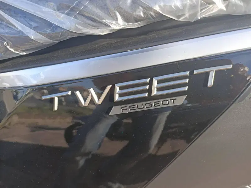 Peugeot Tweet 125i Active (2021 - 25) (4)