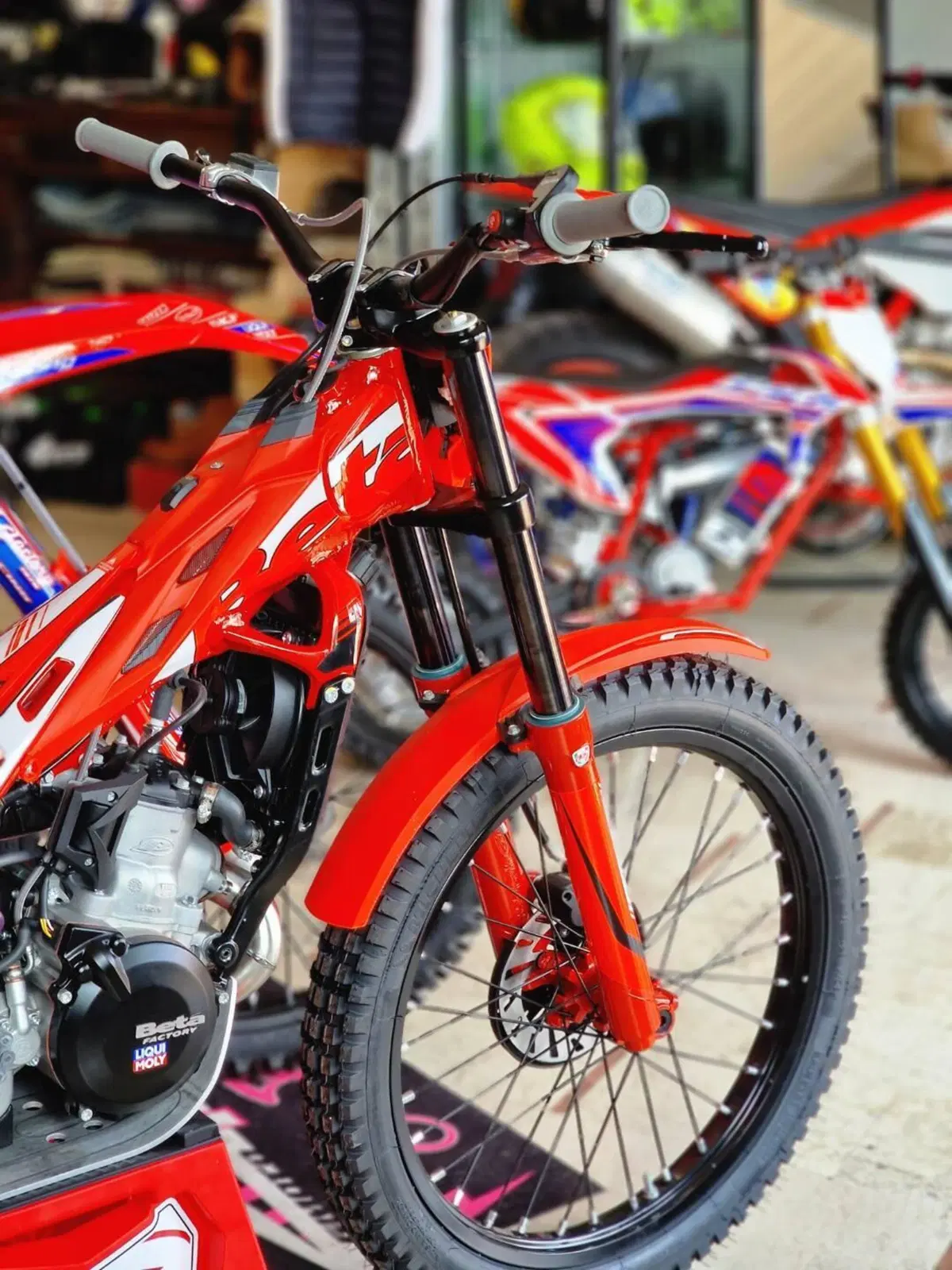 Betamotor Evo 300 SS 2T (2023 - 24) (3)