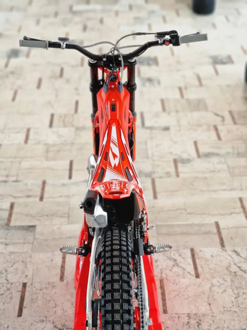 Betamotor Evo 300 SS 2T (2023 - 24) (8)
