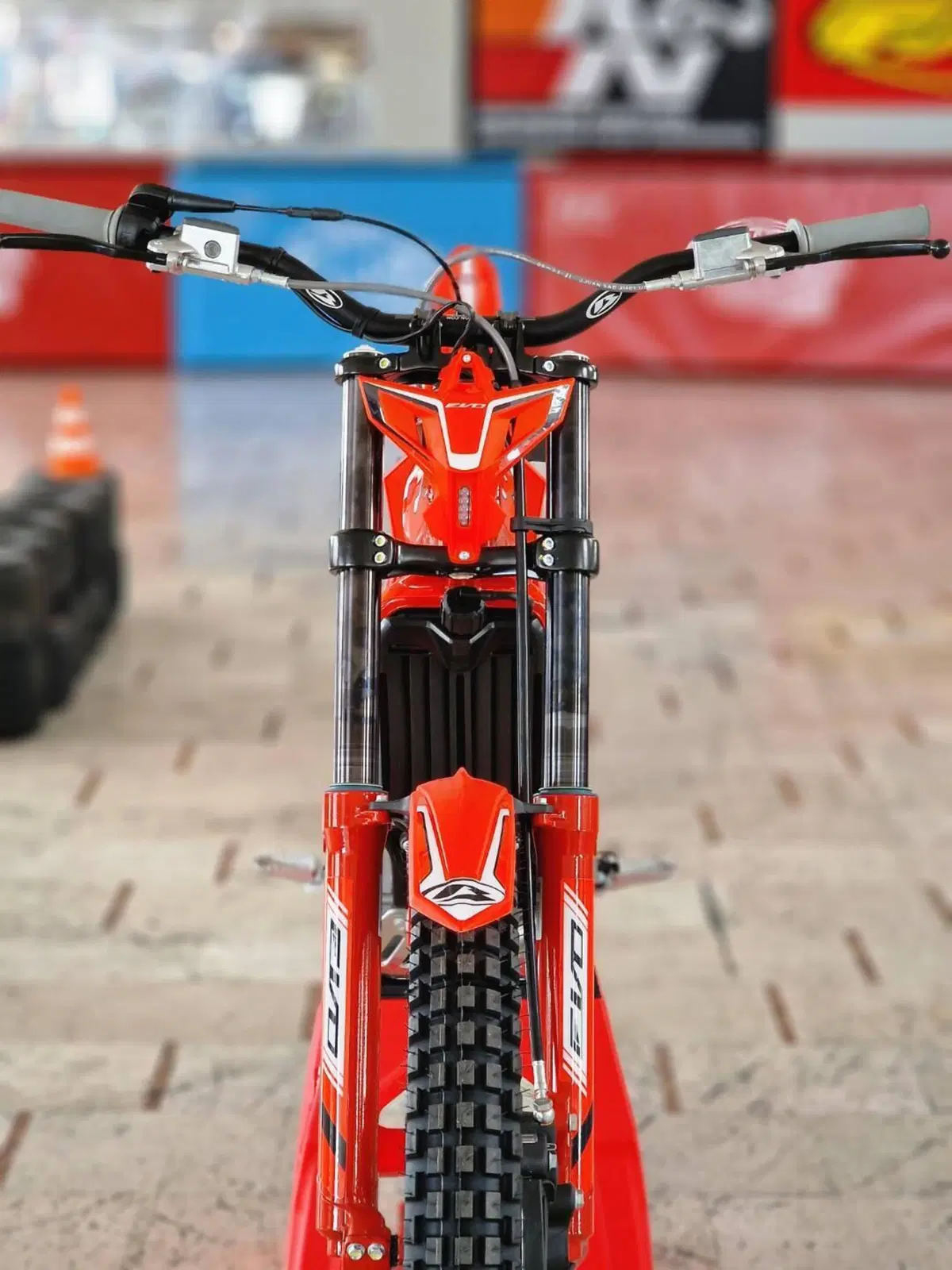 Betamotor Evo 300 SS 2T (2023 - 24) (12)