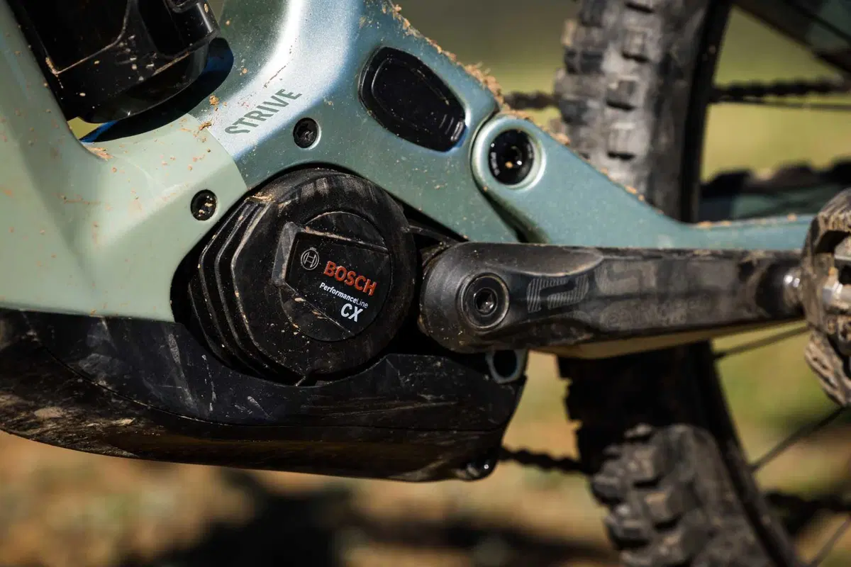 Canyon Strive On test (2)