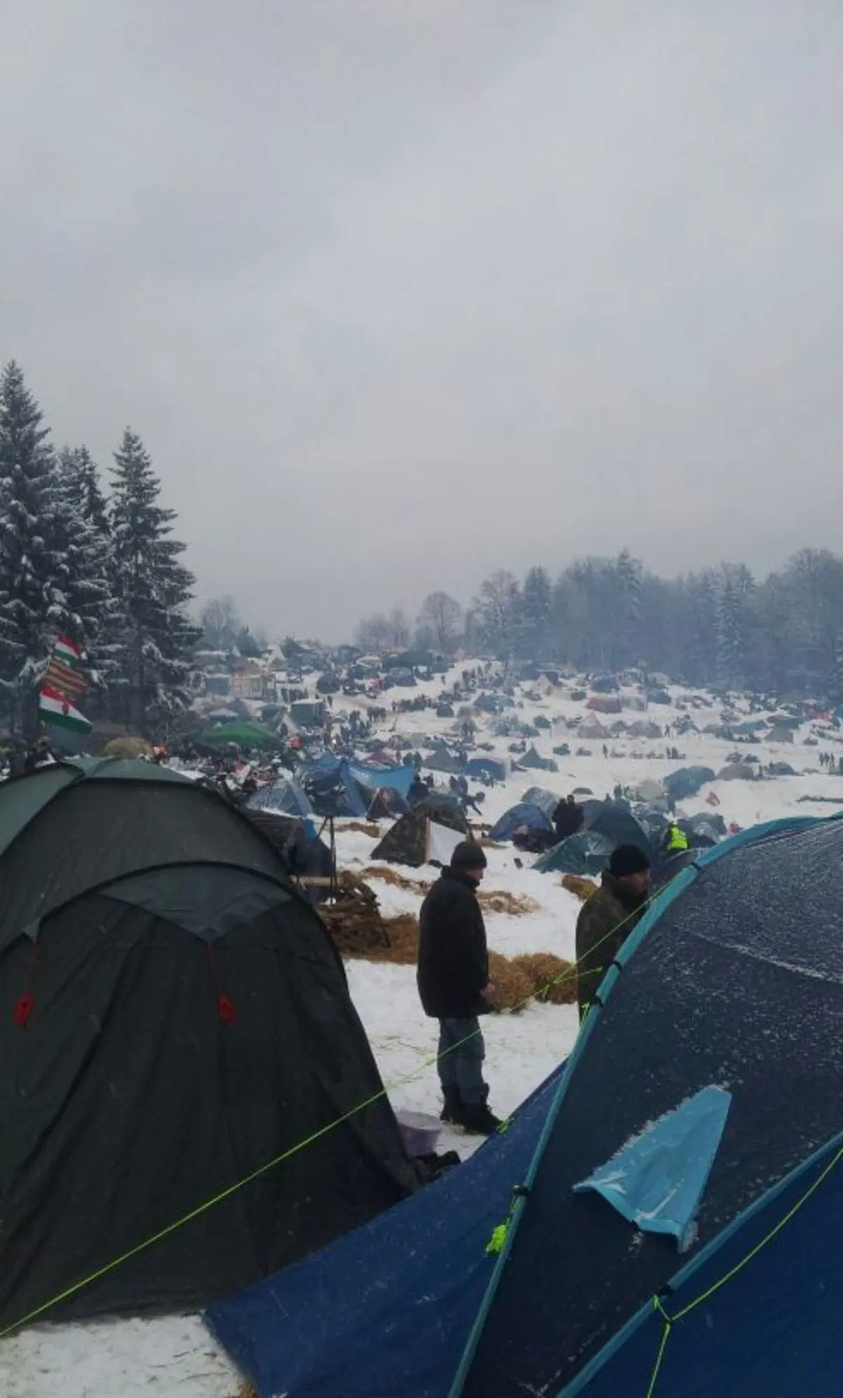 Elefantentreffen 2015. L'odissea del viaggio (11)