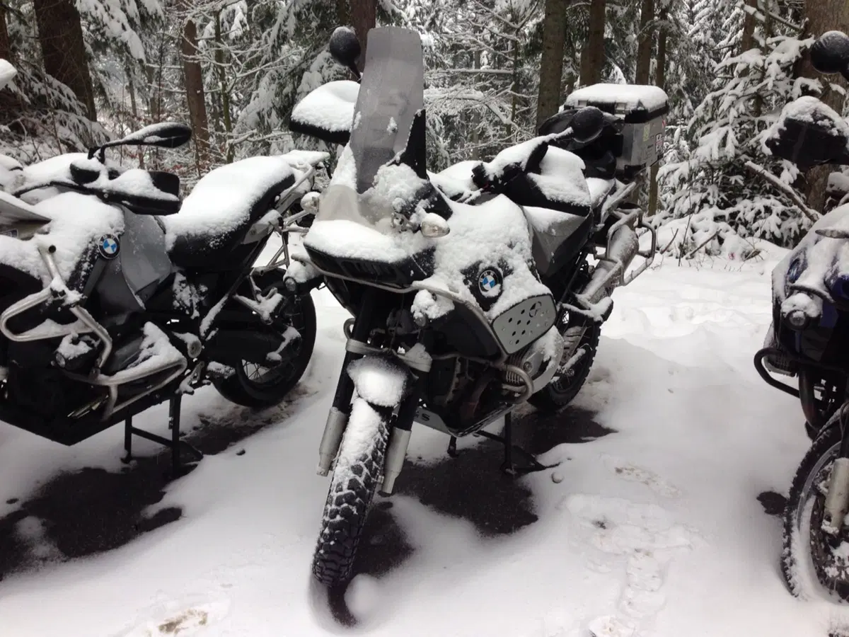 Elefantentreffen 2015. L'odissea del viaggio (24)
