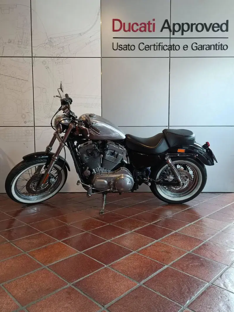 Harley-Davidson 883 Custom (2001 - 05) - XL 53C (2)