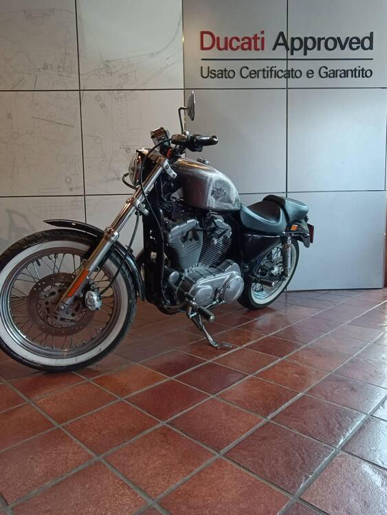 Harley-Davidson 883 Custom (2001 - 05) - XL 53C (5)