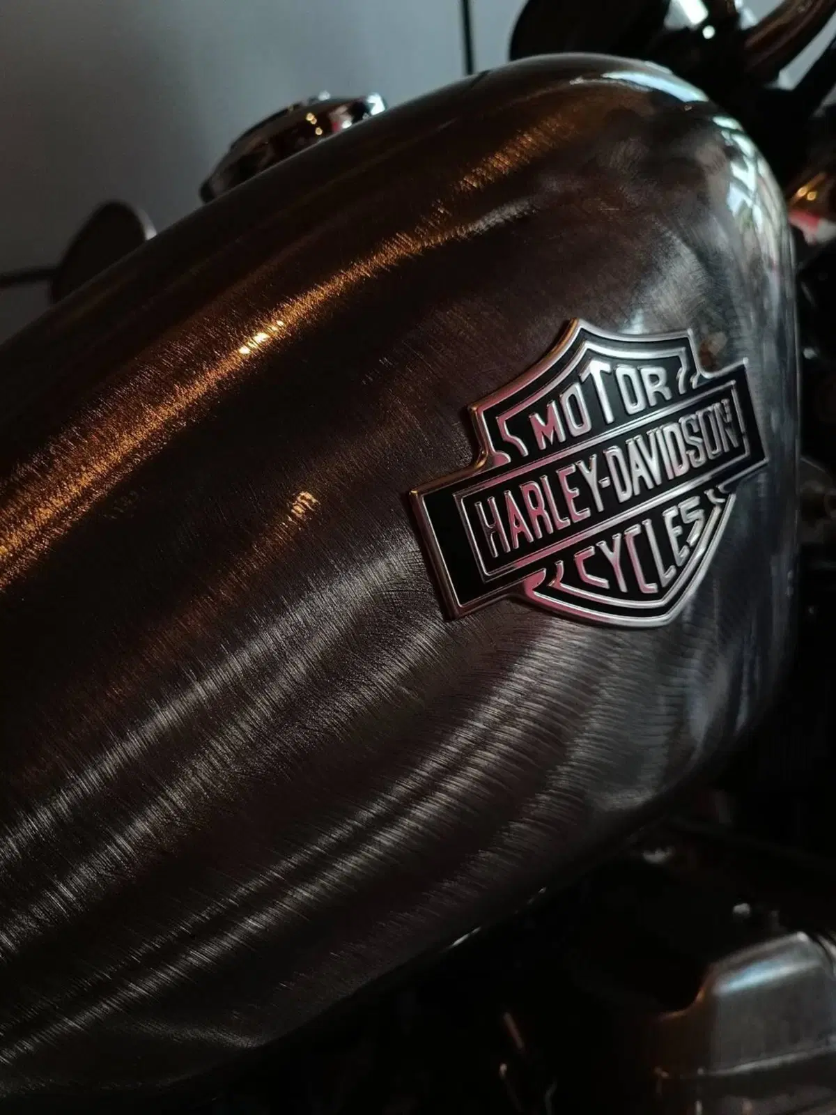 Harley-Davidson 883 Custom (2001 - 05) - XL 53C (8)