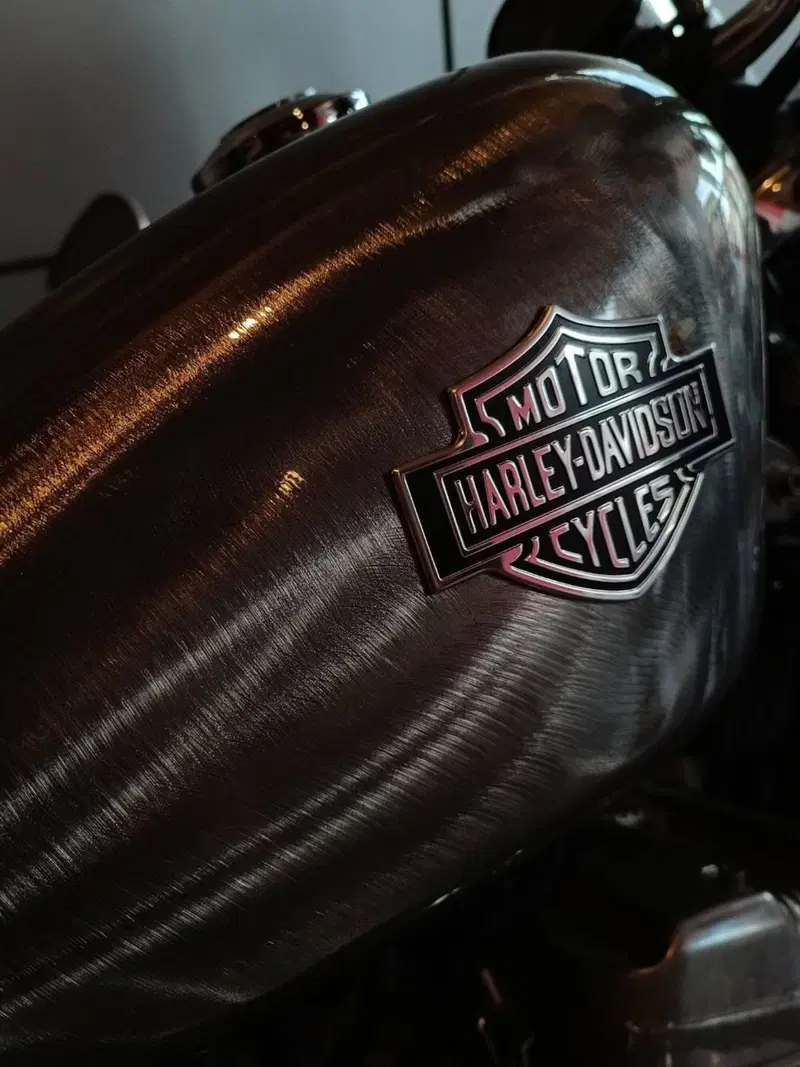 Harley-Davidson 883 Custom (2001 - 05) - XL 53C (8)